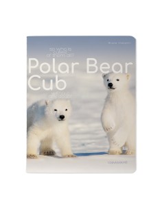 Kaustik Bruno Visconti A5/48L Polar Bear Cub 3 5x5ruut