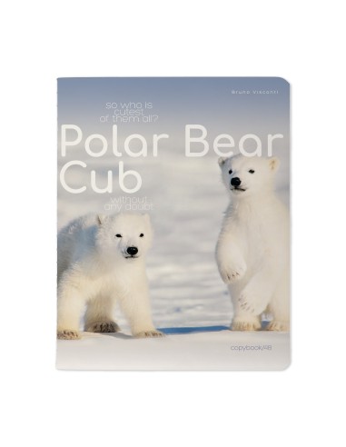 Kaustik Bruno Visconti A5/48L Polar Bear Cub 3 5x5ruut