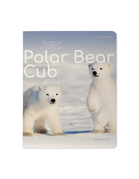 Kaustik Bruno Visconti A5/48L Polar Bear Cub 3 5x5ruut
