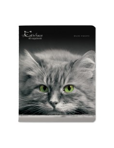 Kaustik Bruno Visconti A5/48L Cats.Face 1 5x5ruut