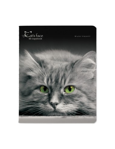 Kaustik Bruno Visconti A5/48L Cats.Face 1 5x5ruut