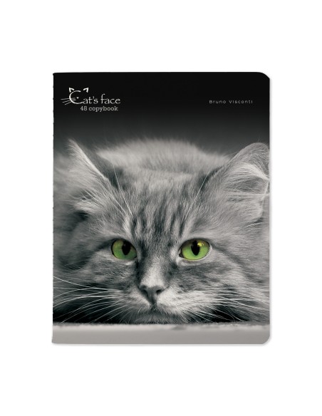 Kaustik Bruno Visconti A5/48L Cats.Face 1 5x5ruut