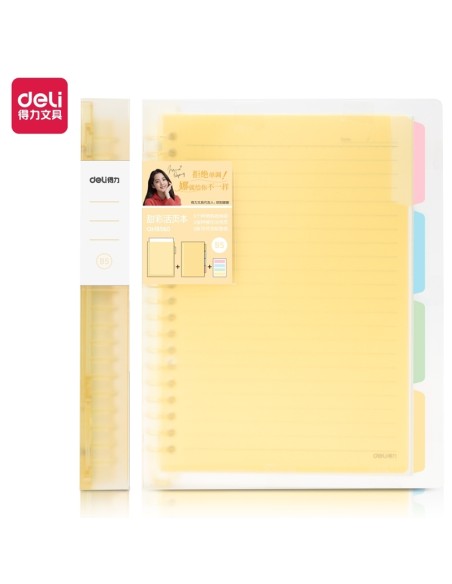 Spiraalkaustik DELI B5/60L assortii
