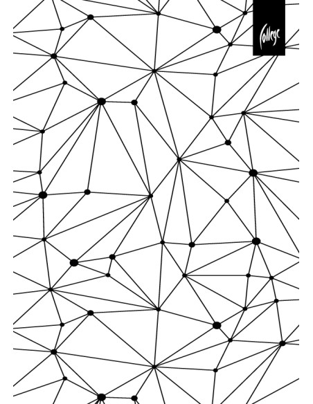 Spiral pad College BW A4/80 sheets, 5x5 squares, PP covers with imprint