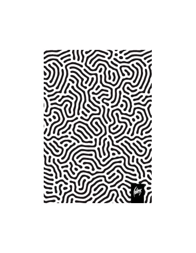 Spiraalplokk College BW A7/80l, 5x5 ruut, PP kaan, erinevad pildid