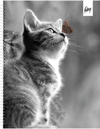 Notebook College Premium A5/80sh 5x5 square, spiral on side