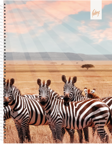 Notebook College Premium A5/80sh 5x5 square, spiral on side