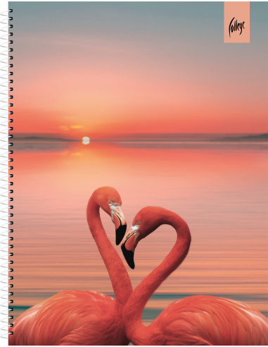 Notebook College Premium A5/80sh 5x5 square, spiral on side