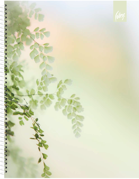Notebook College Premium A5/80sh lined, spiral on side