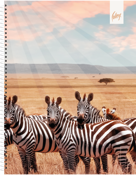 Notebook College Premium A5/80sh lined, spiral on side