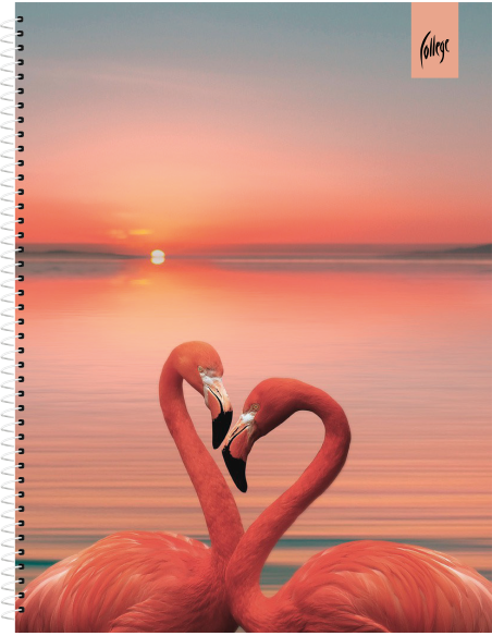 Notebook College Premium A5/80sh lined, spiral on side