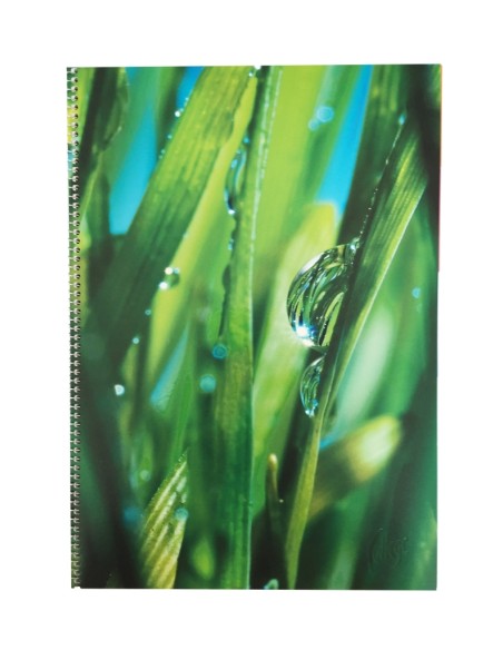 Spiral pad College A4/70sh/5x5squared, 5 dividers, mylartabs, 5-col.sheets