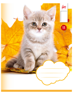 Exercise book KPF 12sh with picture, white 8710968536474 2