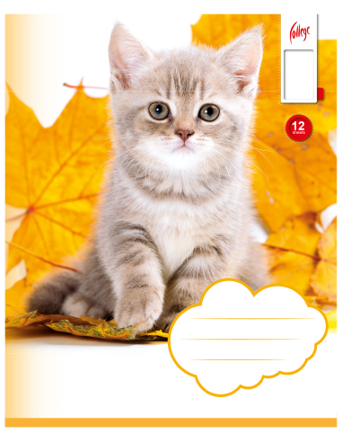 Exercise book KPF 12sh with picture, white 8710968536474