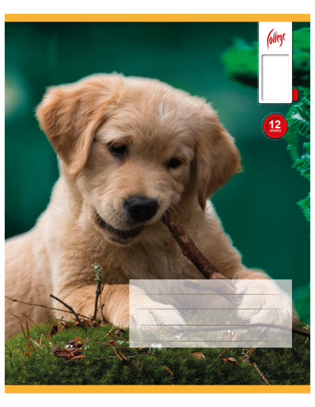 Exercise book KPF 12sh with picture, white 8710968536474