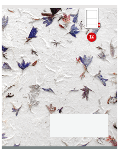 Exercise book KPF 12sh with picture, 23 lines 8710968536283