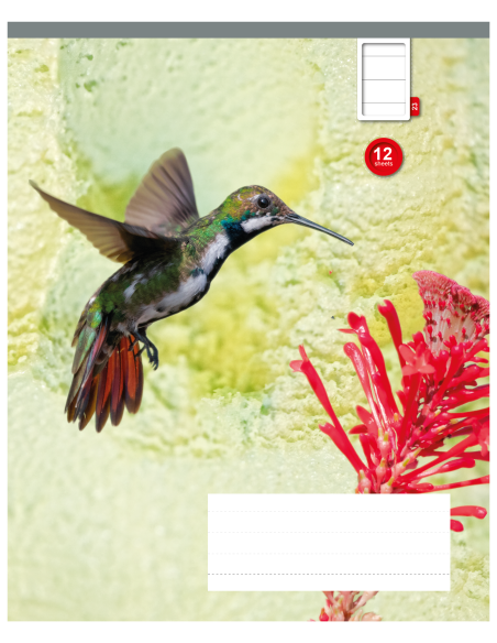 Exercise book KPF 12sh with picture, 23 lines 8710968536283