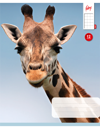 Exercise book KPF 12sh with picture, 5x5 square