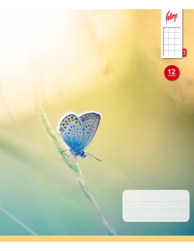 Exercise book KPF 12sh with picture, 5x5 square