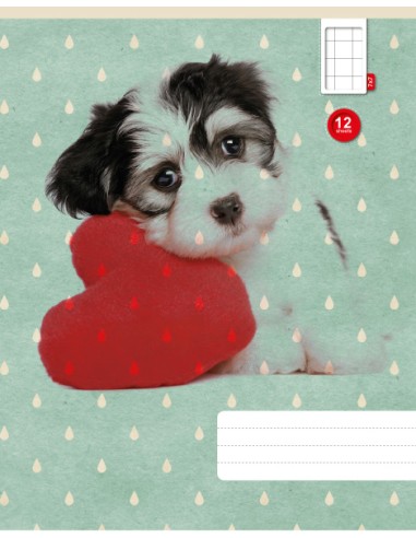 Exercise book KPF 12sh with picture, 7x7 square