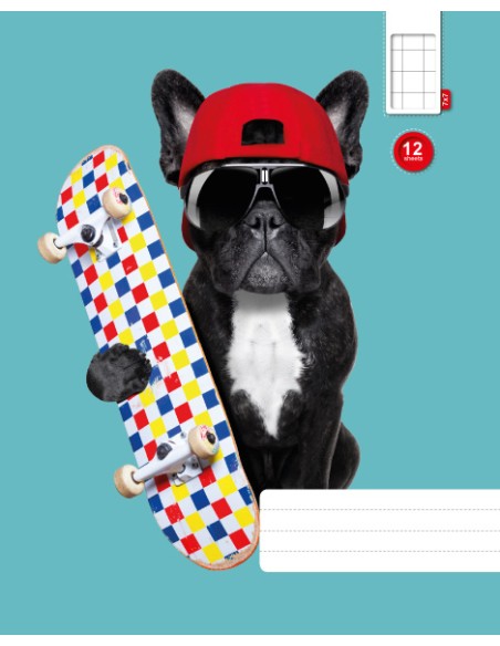 Exercise book KPF 12sh with picture, 7x7 square