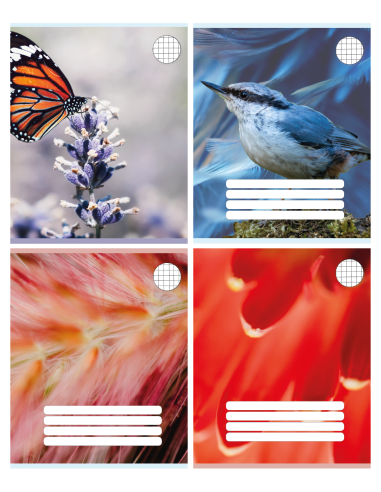 Exercise book College ´Premium´ 165x205/12 sheets, 5x5 squares
