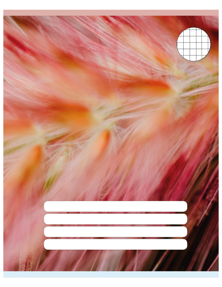 Exercise book College ´Premium´ 165x205/12 sheets, 5x5 squares