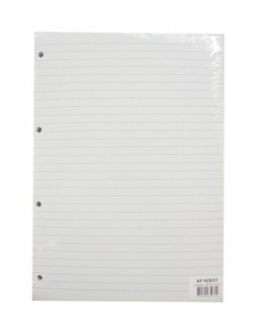 Paper College A4/100sh/lined with holes