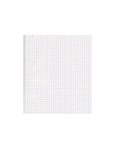Tarbepaber College A5/100L/ 5x5ruut