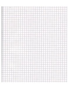 Tarbepaber College A3/100L/ 5x5ruut