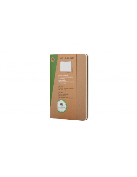 Märkmik Moleskine Evernote 9x14cm, ruuduline, pehmed kaaned, 2tk/pk pruun