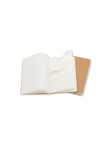 Märkmik Moleskine Evernote 9x14cm, ruuduline, pehmed kaaned, 2tk/pk pruun