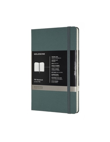 Märkmik Moleskine Professional 13x21cm roheline