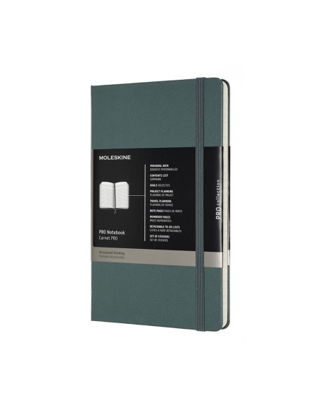Märkmik Moleskine Professional 13x21cm roheline