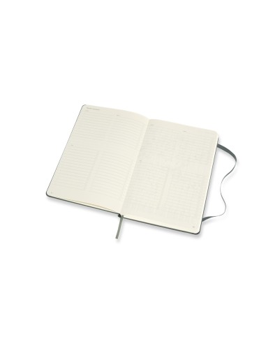 Märkmik Moleskine Professional 13x21cm roheline