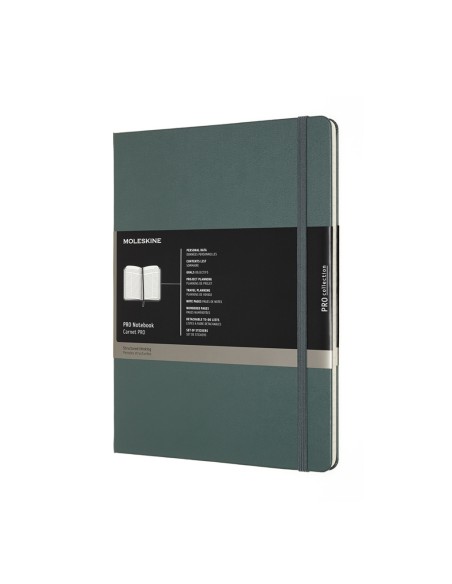 Märkmik Moleskine PRO Notebooks 19x25cm, pro, kõvad kaaned, roheline