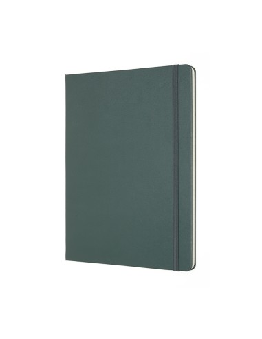 Märkmik Moleskine PRO Notebooks 19x25cm, pro, kõvad kaaned, roheline