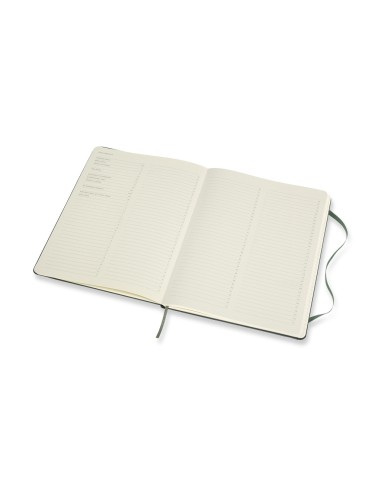 Märkmik Moleskine PRO Notebooks 19x25cm, pro, kõvad kaaned, roheline