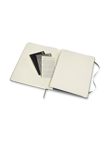 Märkmik Moleskine PRO Notebooks 19x25cm, pro, kõvad kaaned, roheline