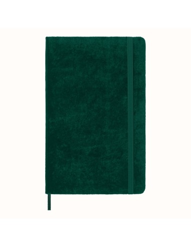 Moleskine Notebook Velvet large ruled Green Box