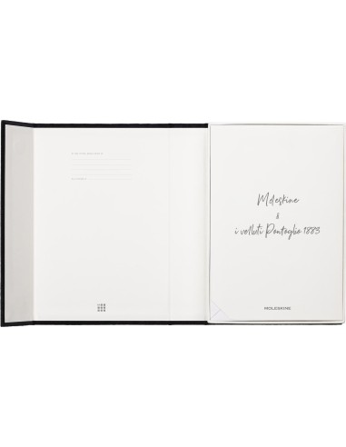 Moleskine Notebook Velvet large ruled Green Box