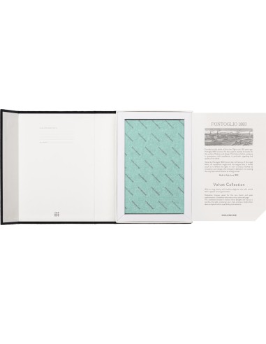 Moleskine Notebook Velvet large ruled Green Box