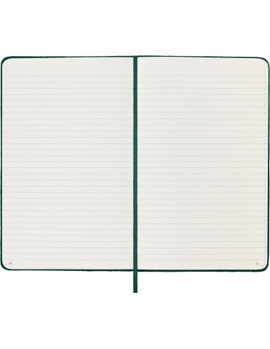 Moleskine Notebook Velvet large ruled Green Box