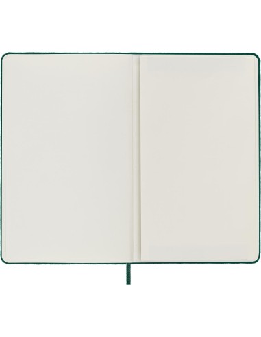 Moleskine Notebook Velvet large ruled Green Box