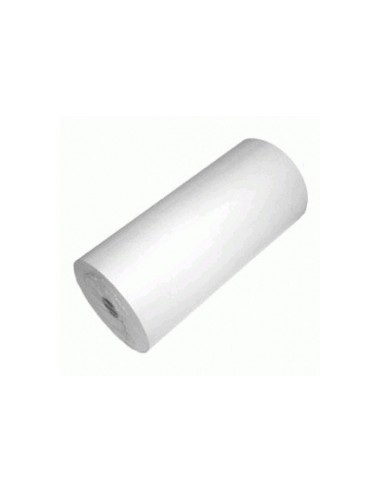 Plotter DataCopy 80g 297mmx175mx76mm in roll