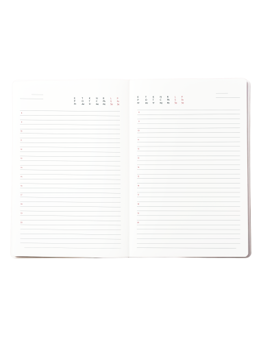 Diary undated Nature