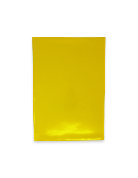 Plastic L-pockets Prolexplast A4 frosted 100pcs transparent 180mic (P)