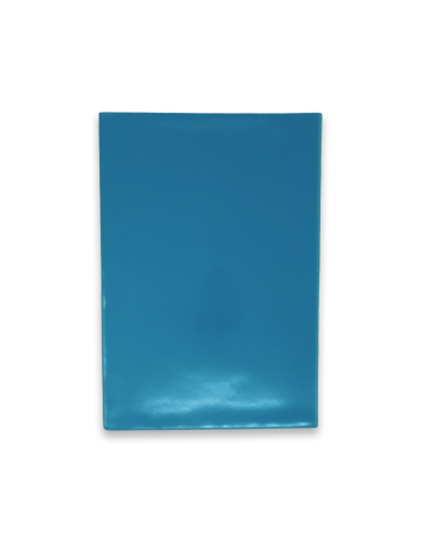 Plastic L-pockets Prolexplast A4 frosted 100pcs transparent 180mic (P)