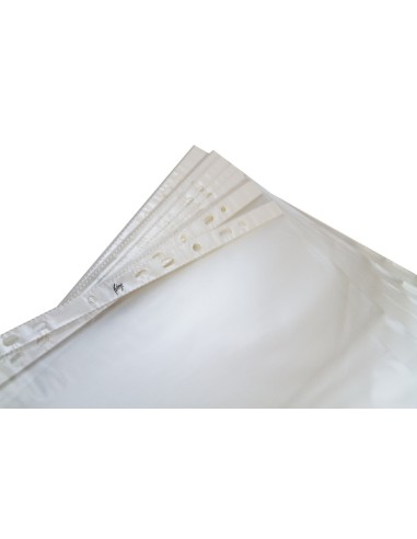 *Punched pockets COLLEGE U/A4, frosted 60mic 100pcs/carton
