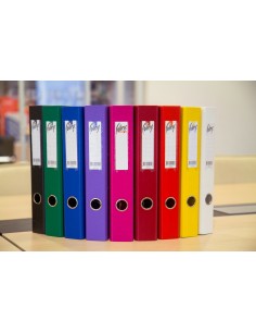 Lever Arch File COLLEGE A4 40mm PP/PP green 2